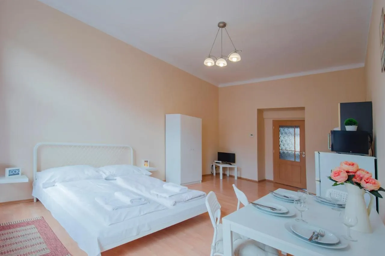 Modern Apartment Wenzigova 15 Praha
